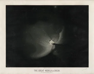 Den stora nebulosan i Orion. Från en studie gjord under åren 1875-76. (Platta XV från Trouvelots astronomiska teckningar 1881-1882)
